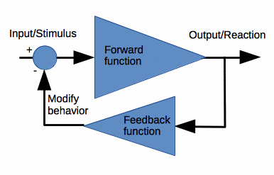 Negative Feedback