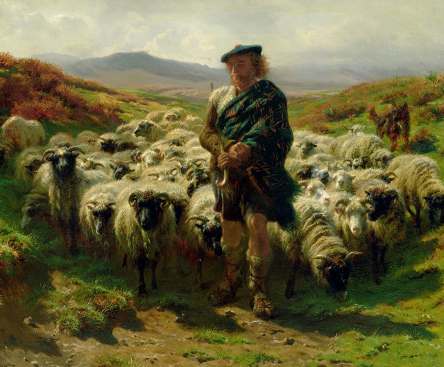 Source: Rosa Bonheur - Highland Shepherd Content Illustration